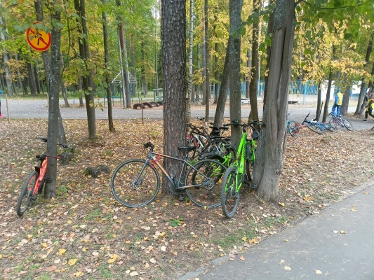 Кросс наций - 40.jpg